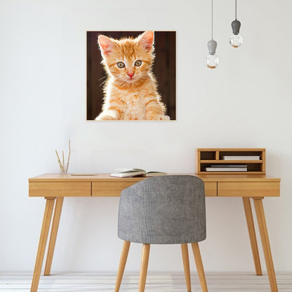 Cat - Full Round Drill Diamond Painting 40*40CM