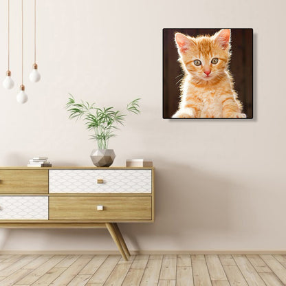 Cat - Full Round Drill Diamond Painting 40*40CM