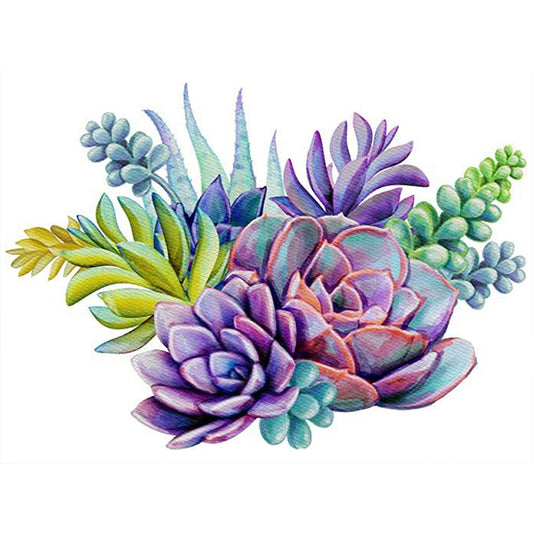 Succulents - 11CT Stamped Cross Stitch 45*35CM
