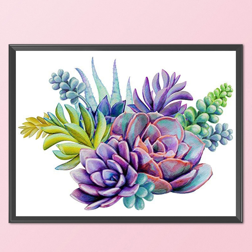 Succulents - 11CT Stamped Cross Stitch 45*35CM