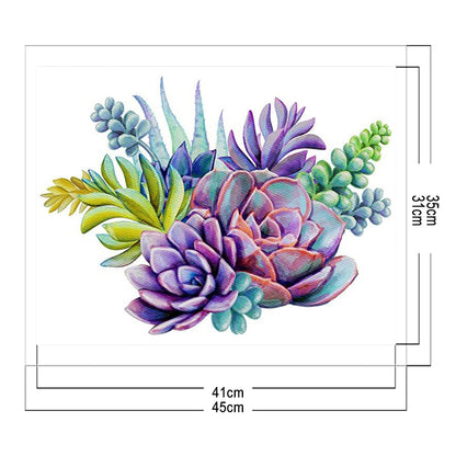 Succulents - 11CT Stamped Cross Stitch 45*35CM
