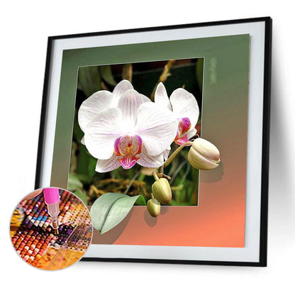 Flower - Full Round Drill Diamond Painting 30*30CM