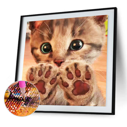 Cat - Full Round Drill Diamond Painting 30*30CM