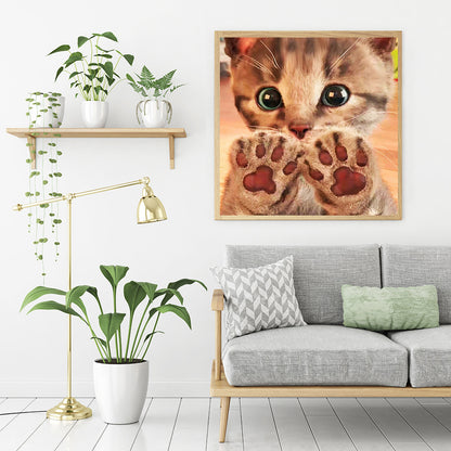 Cat - Full Round Drill Diamond Painting 30*30CM