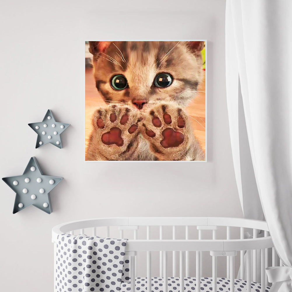 Cat - Full Round Drill Diamond Painting 30*30CM