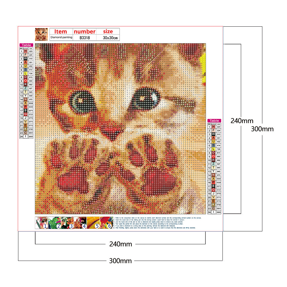 Cat - Full Round Drill Diamond Painting 30*30CM