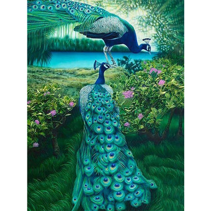 Peacock - Full Round Drill Diamond Painting 50*60CM