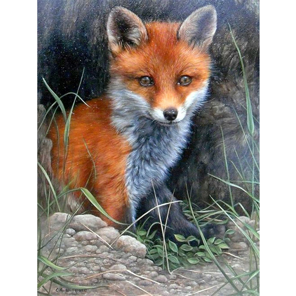 Fox - 11CT Counted Cross Stitch 36*48CM