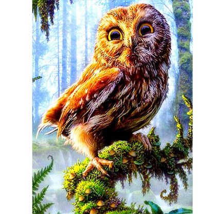 Owl - Full Round Drill Diamond Painting 30*40CM