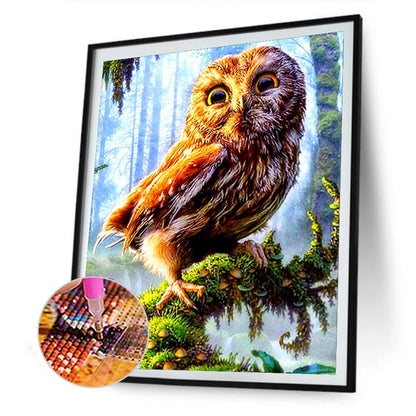 Owl - Full Round Drill Diamond Painting 30*40CM