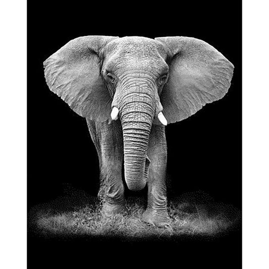 Black And White Elephant - Full Round Drill Diamond Painting 50*60CM