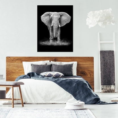 Black And White Elephant - Full Round Drill Diamond Painting 50*60CM