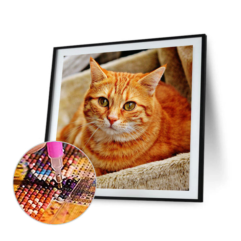 Cat - Full Round Drill Diamond Painting 50*50CM