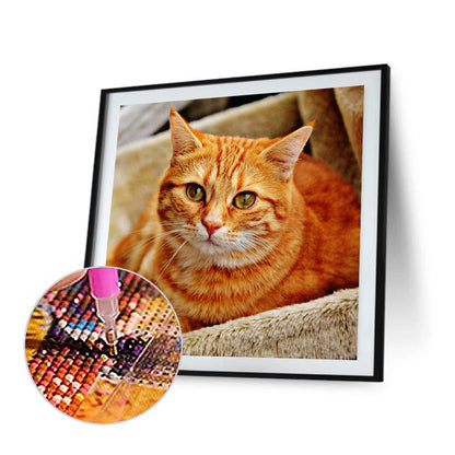 Cat - Full Round Drill Diamond Painting 50*50CM