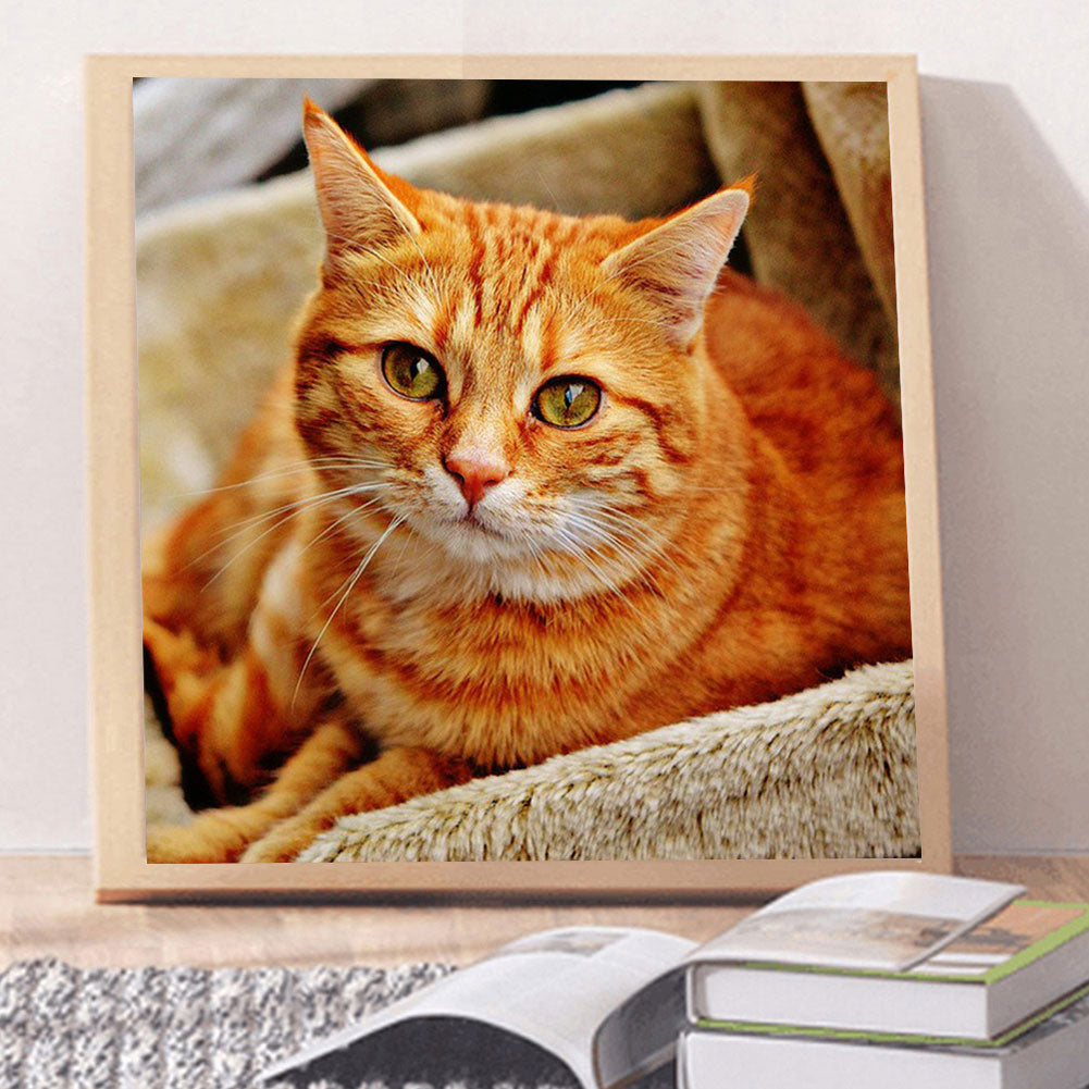 Cat - Full Round Drill Diamond Painting 50*50CM