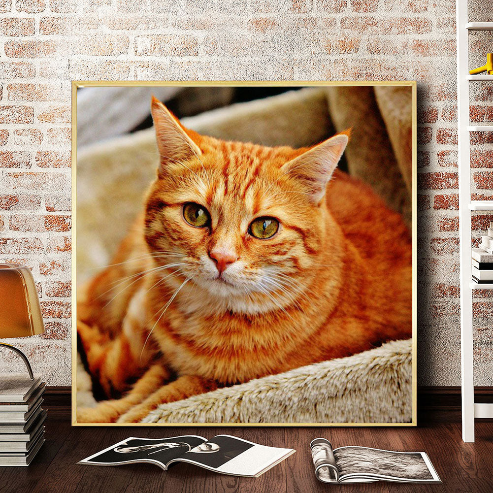 Cat - Full Round Drill Diamond Painting 50*50CM