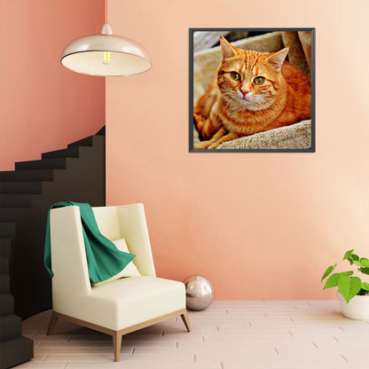 Cat - Full Round Drill Diamond Painting 50*50CM