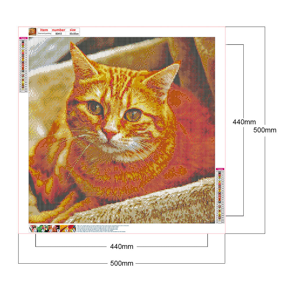 Cat - Full Round Drill Diamond Painting 50*50CM