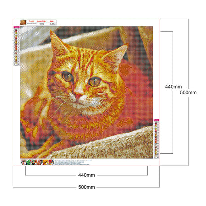 Cat - Full Round Drill Diamond Painting 50*50CM