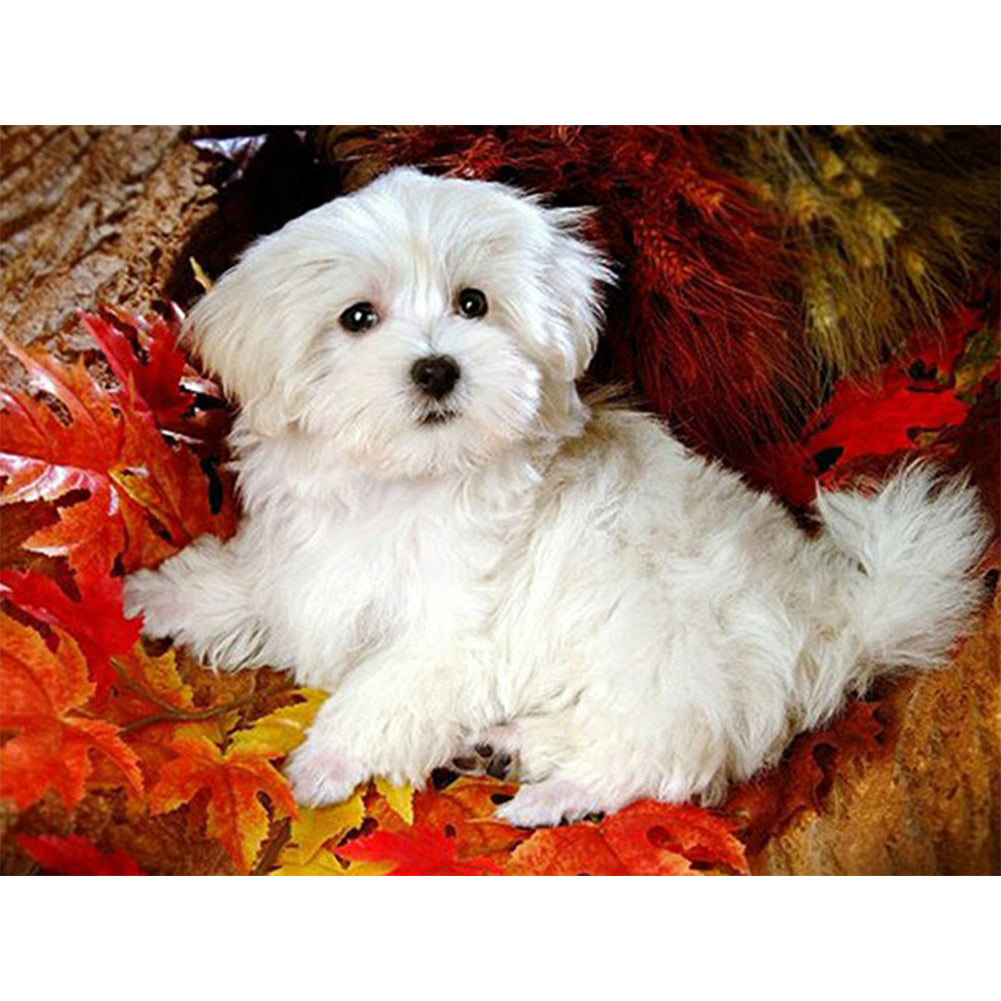 Dog - Full Round Drill Diamond Painting 40*30CM