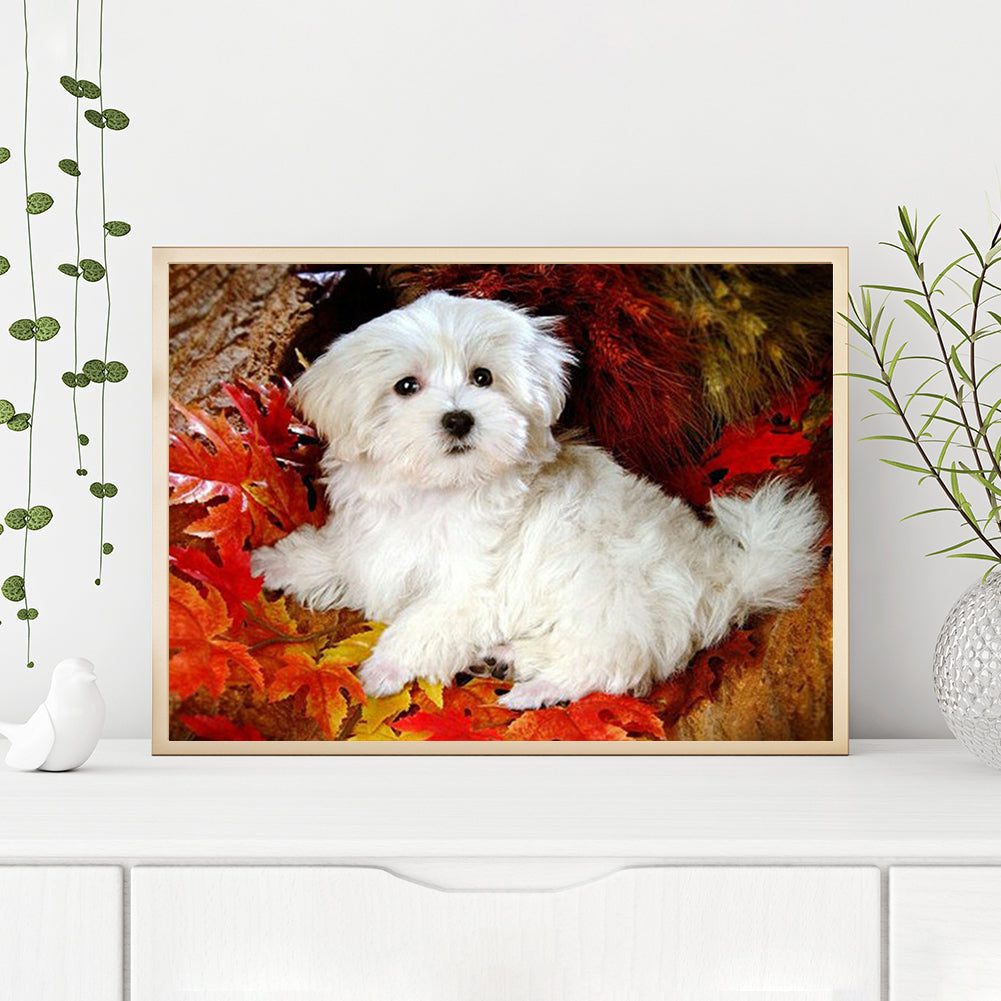 Dog - Full Round Drill Diamond Painting 40*30CM