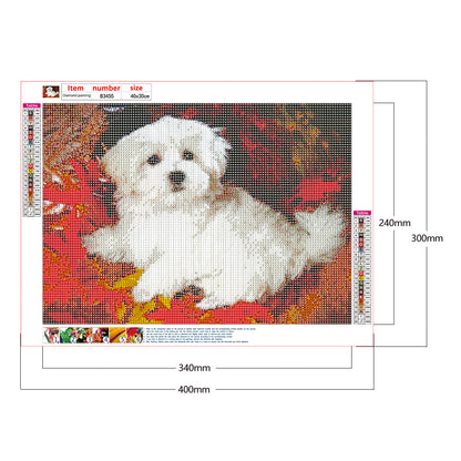 Dog - Full Round Drill Diamond Painting 40*30CM