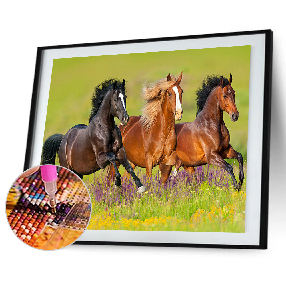 Horse - Full Round Drill Diamond Painting 40*30CM