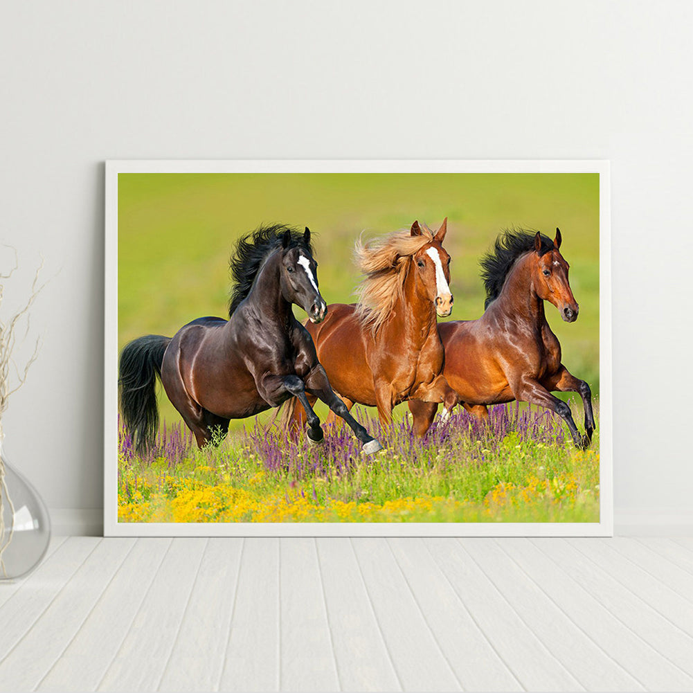 Horse - Full Round Drill Diamond Painting 40*30CM