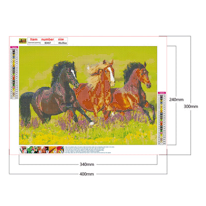 Horse - Full Round Drill Diamond Painting 40*30CM