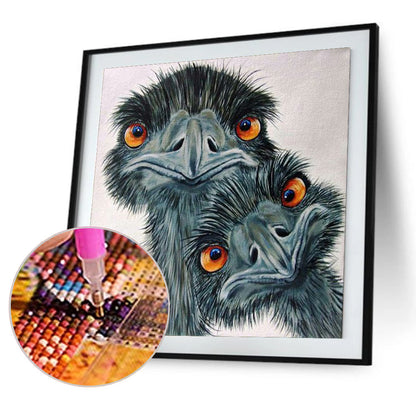 Ostrich - Full Round Drill Diamond Painting 30*30CM