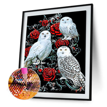 Rose Owl - Full Round Drill Diamond Painting 30*40CM