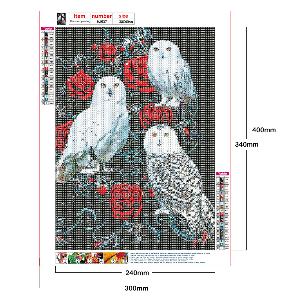 Rose Owl - Full Round Drill Diamond Painting 30*40CM