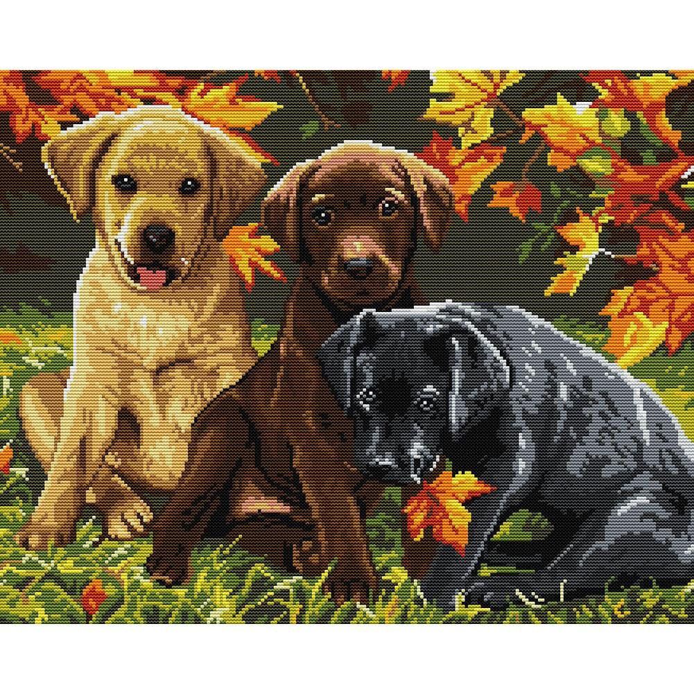 Three Puppies Five - 14CT Counted Cross Stitch 48*40CM