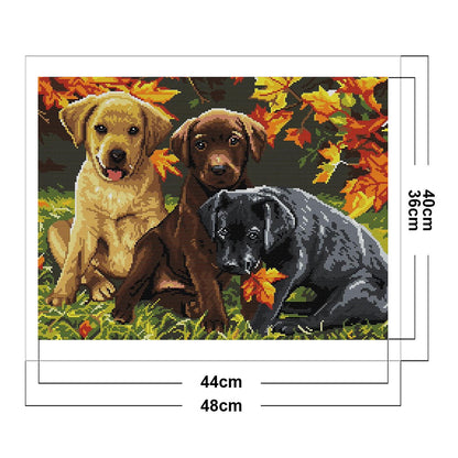 Three Puppies Five - 14CT Counted Cross Stitch 48*40CM