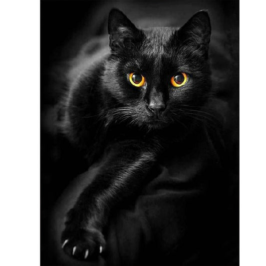 Black Cat - Full Round Drill Diamond Painting 50*60CM