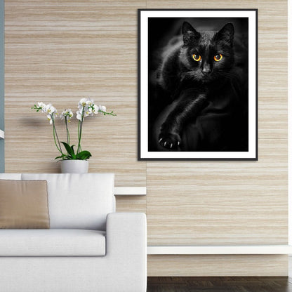 Black Cat - Full Round Drill Diamond Painting 50*60CM