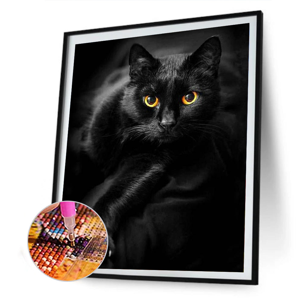 Black Cat - Full Round Drill Diamond Painting 50*60CM