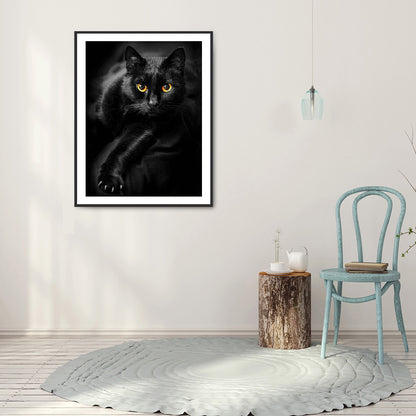 Black Cat - Full Round Drill Diamond Painting 50*60CM