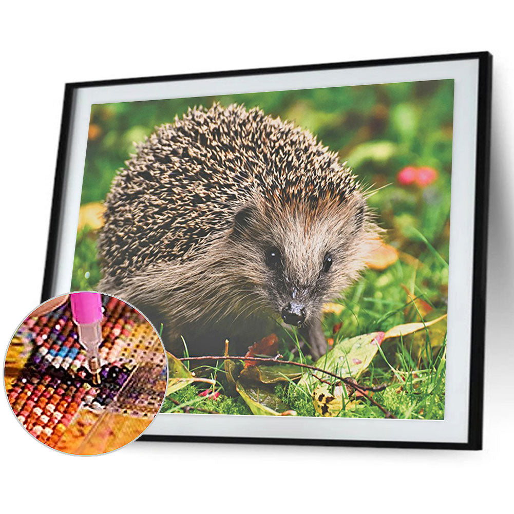 Hedgehog - Full Round Drill Diamond Painting 40*30CM