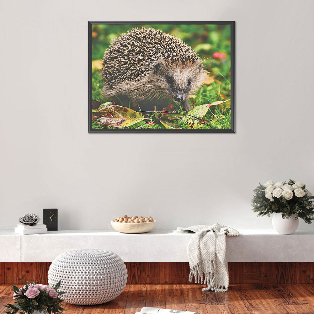 Hedgehog - Full Round Drill Diamond Painting 40*30CM