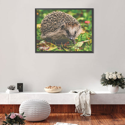 Hedgehog - Full Round Drill Diamond Painting 40*30CM