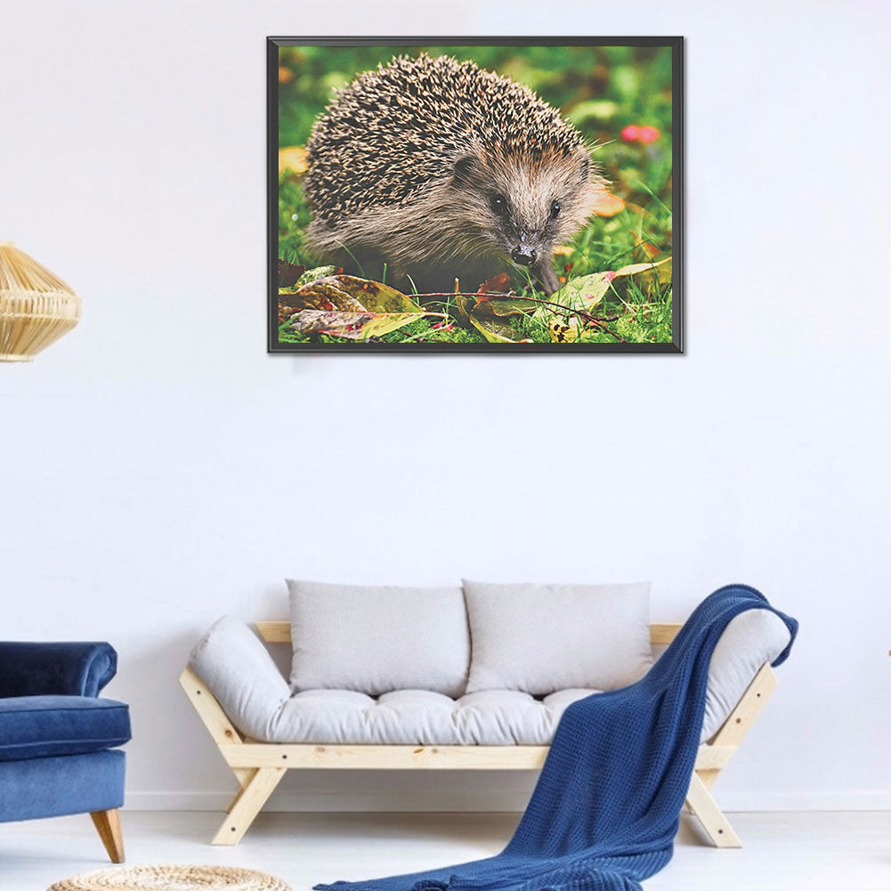 Hedgehog - Full Round Drill Diamond Painting 40*30CM