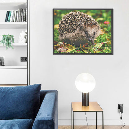 Hedgehog - Full Round Drill Diamond Painting 40*30CM