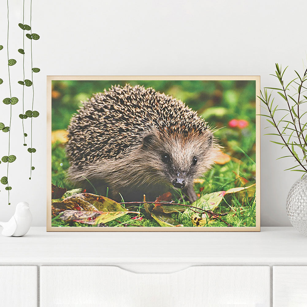 Hedgehog - Full Round Drill Diamond Painting 40*30CM