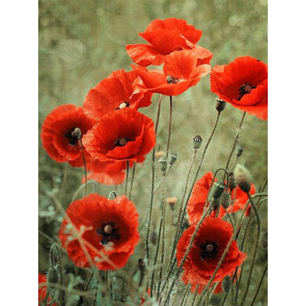 Ink Safflower - Full Round Drill Diamond Painting 30*40CM