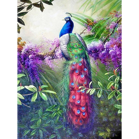 Peacock - Full Square Drill Diamond Painting 30*40CM