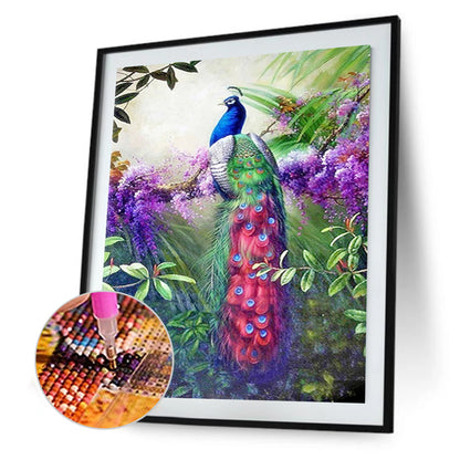 Peacock - Full Square Drill Diamond Painting 30*40CM