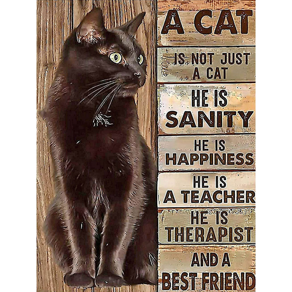 Black Cat English - Full Round Drill Diamond Painting 30*40CM