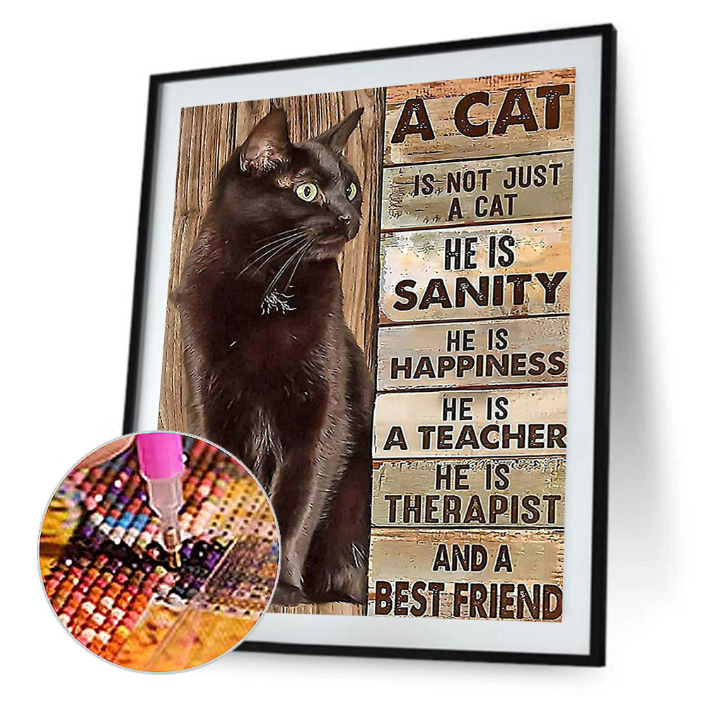 Black Cat English - Full Round Drill Diamond Painting 30*40CM