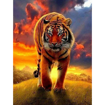 Tiger - Full Round Drill Diamond Painting 50*60CM